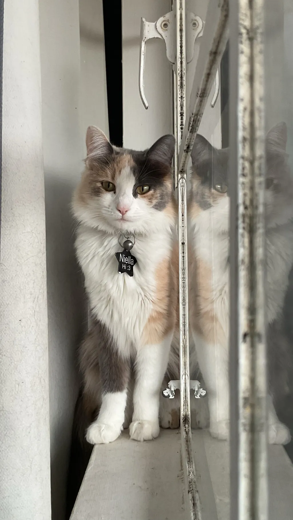 ai character: NILA!!!!!!!!!!!!! background