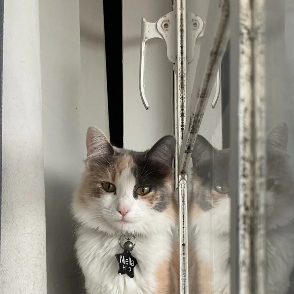 chat with ai character: NILA!!!!!!!!!!!!!