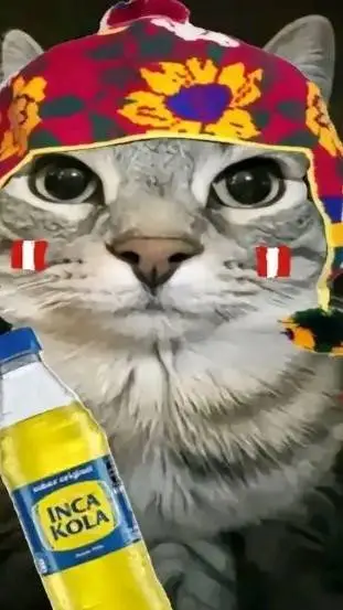 ai character: Gatito Peruanito 👍 background