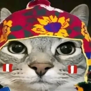 chat with ai character: Gatito Peruanito 👍