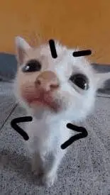 ai character: silly mad kitty  background