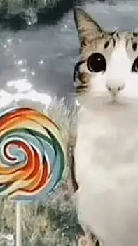 ai character: MEOWLLLLLLLL background