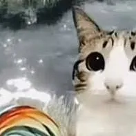 chat with ai character: MEOWLLLLLLLL