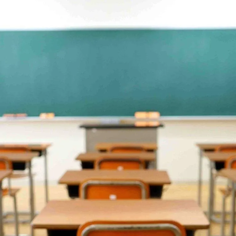 chat with ai character: classroom 