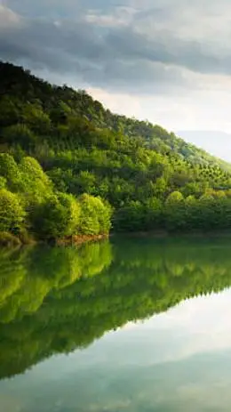 ai character: are you okay?.. background