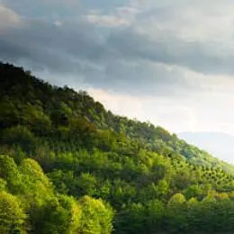 chat with ai character: are you okay?..