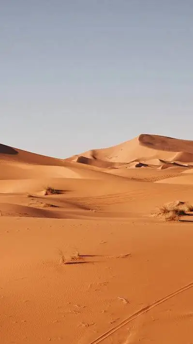 Talkie AI - Chat with  (El Desierto) 🐪
