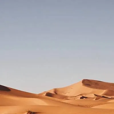 chat with ai character:  (El Desierto) 🐪