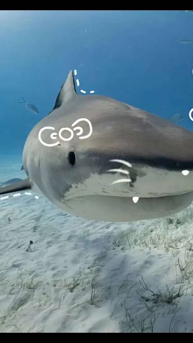 ai character: Saja boys period background