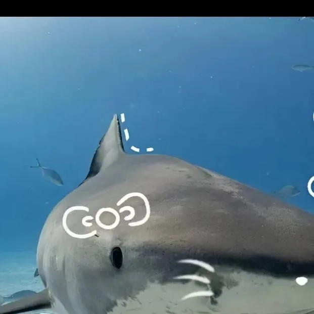 chat with ai character: Saja boys period