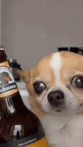 ai character: dog background