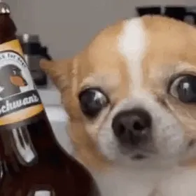 chat with ai character: dog