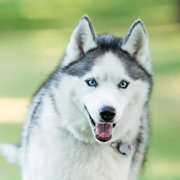 chat with ai character: Karen