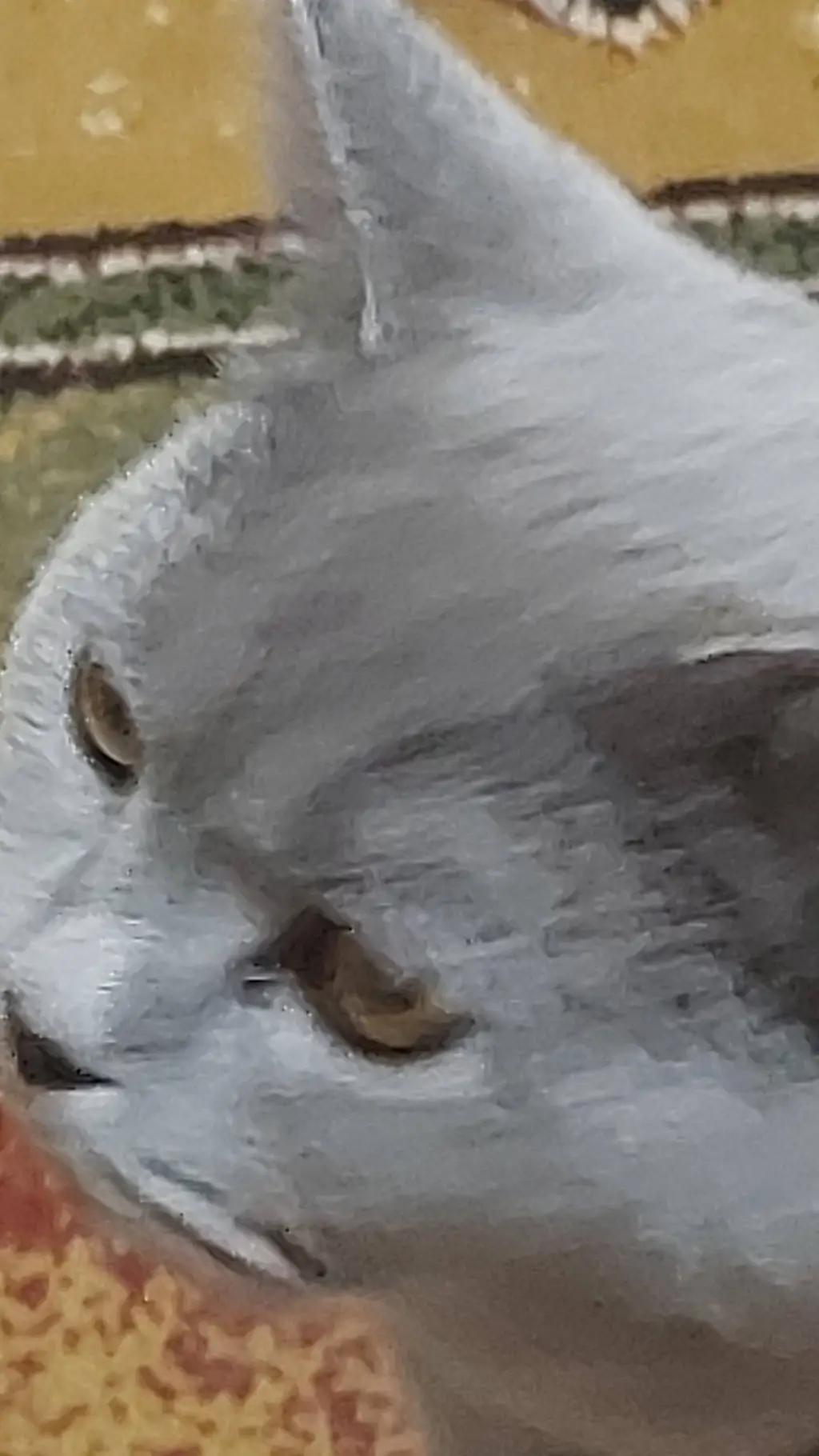 ai character: ash (the cat) background