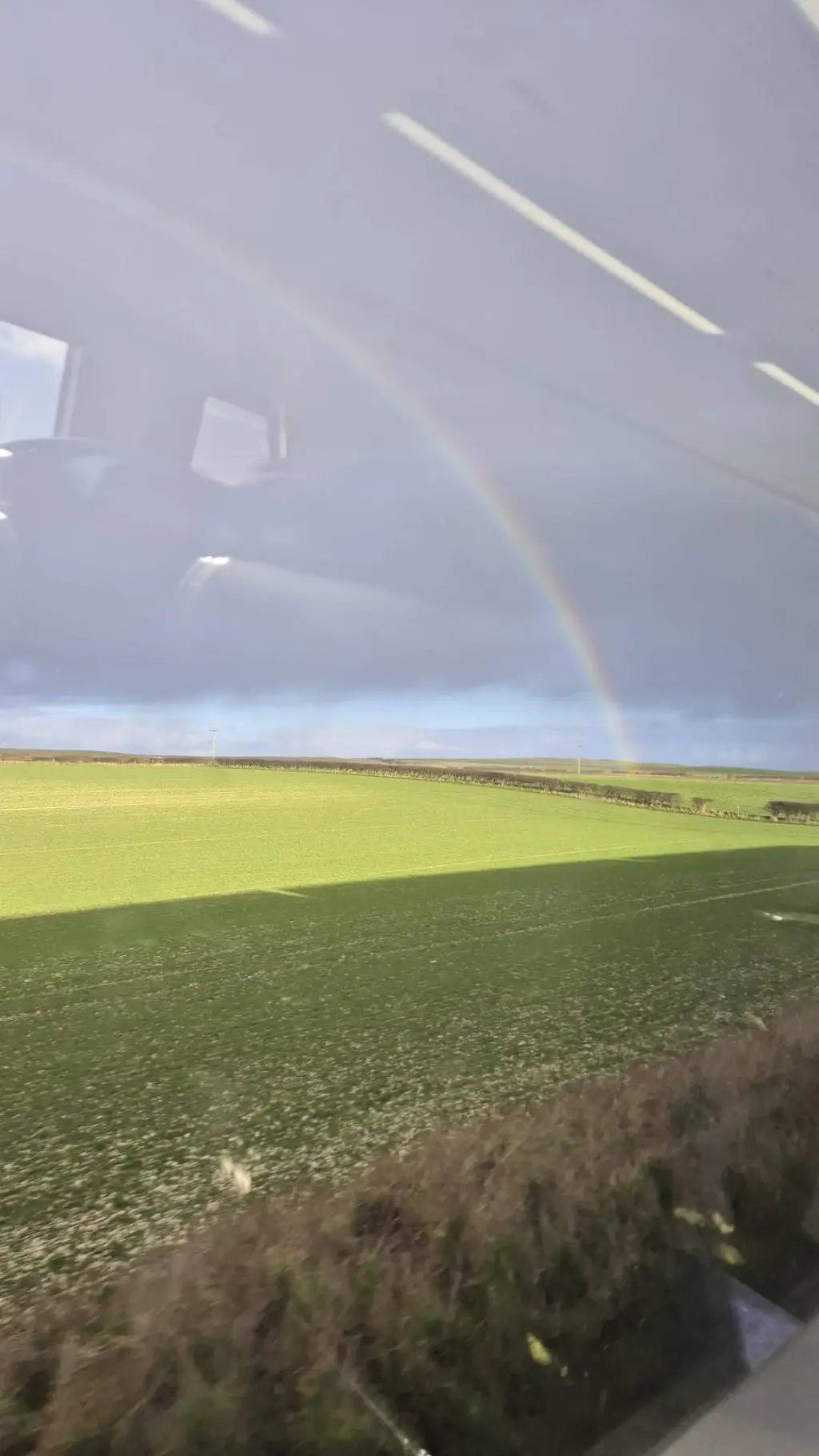 ai character: GS Cast background