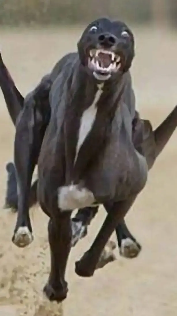 ai character: DC Allies Cast  background