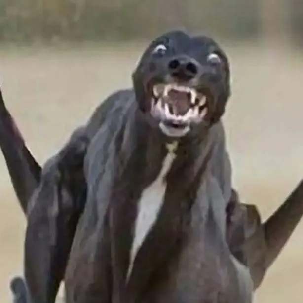 chat with ai character: DC Allies Cast 