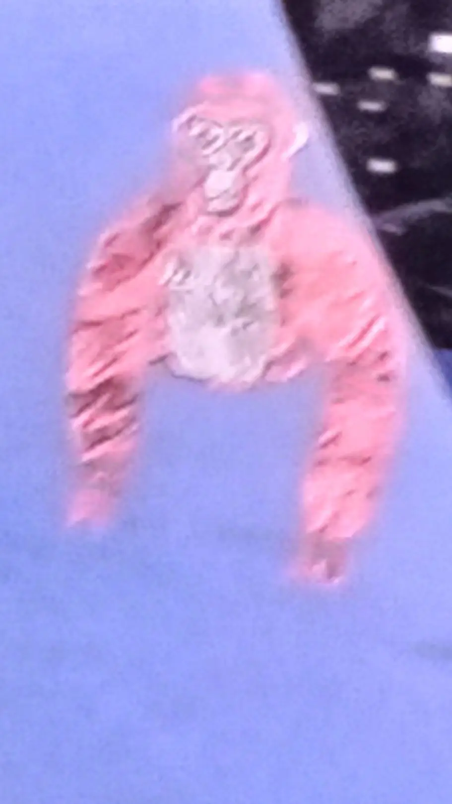 ai character: PBBV background