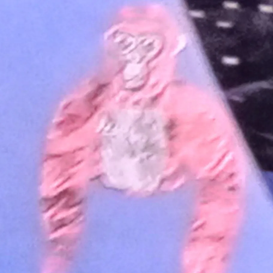 chat with ai character: PBBV