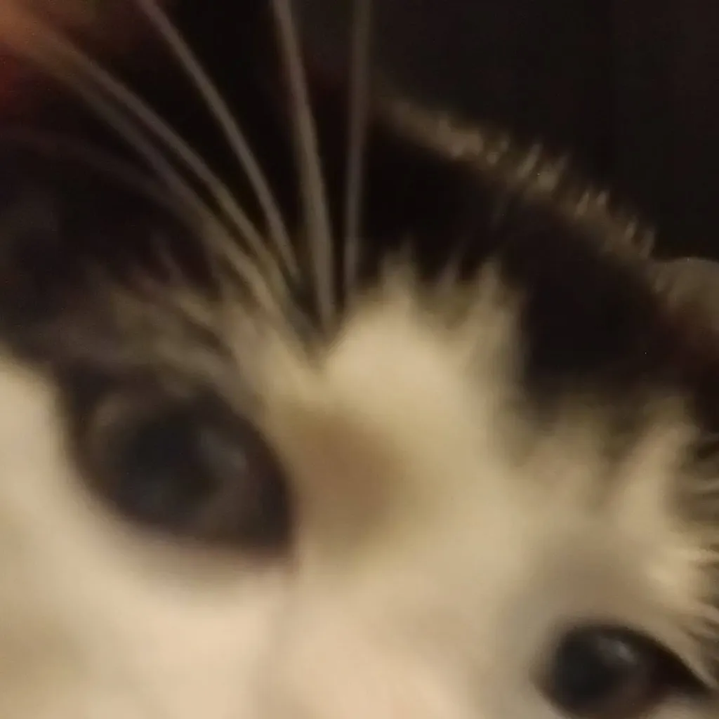 chat with ai character: Stray kids