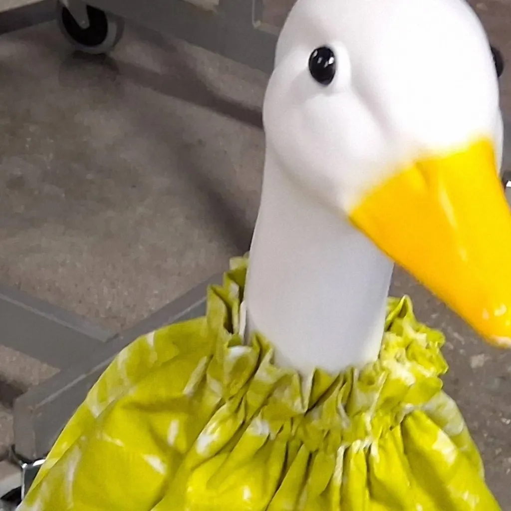 chat with ai character: Duck