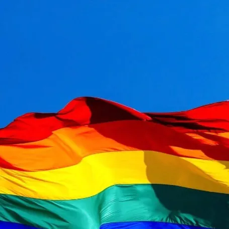 chat with ai character: Celebrate pride!