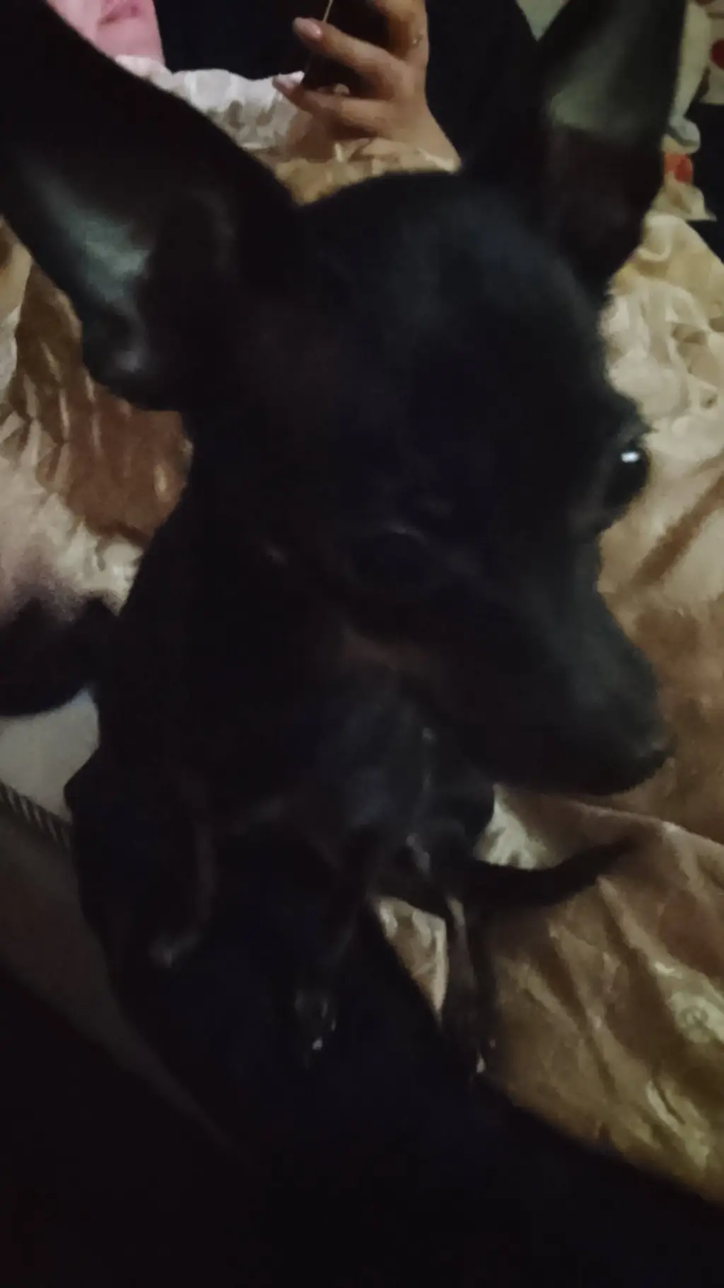 ai character: нуб background