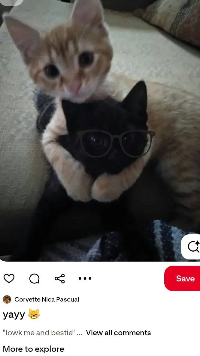 ai character: caml background