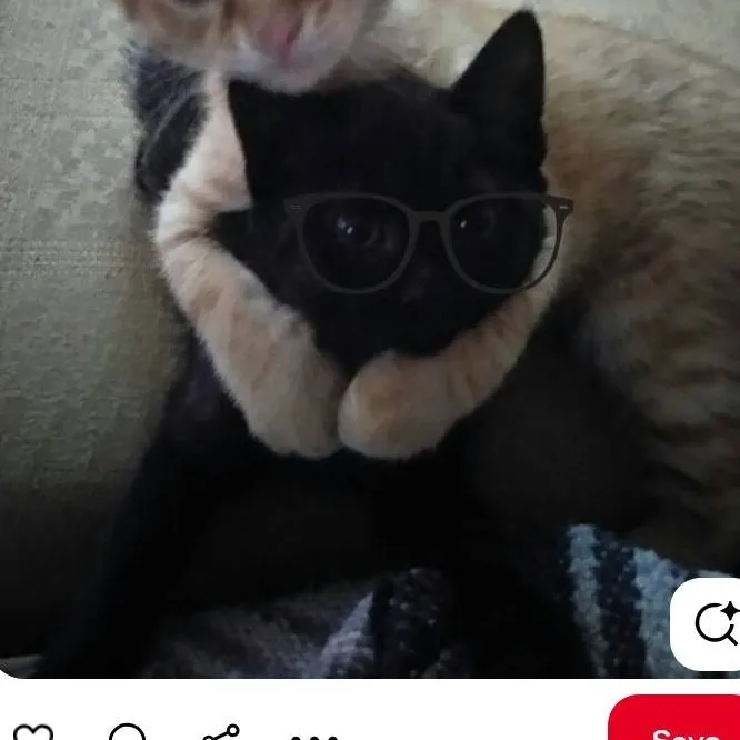 chat with ai character: caml