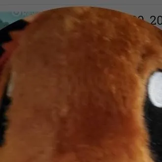 chat with ai character: jam