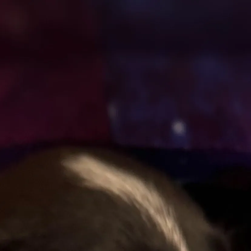 chat with ai character: Lulu - dog