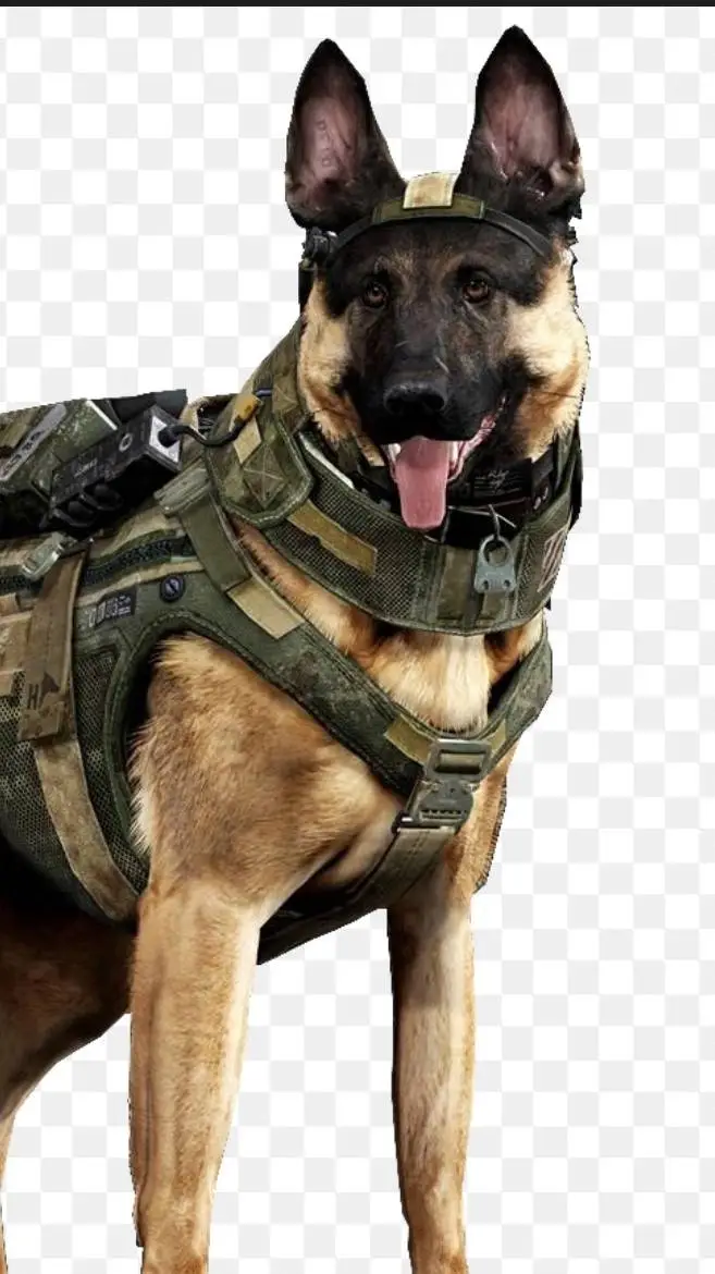 ai character: Riley call of duty background