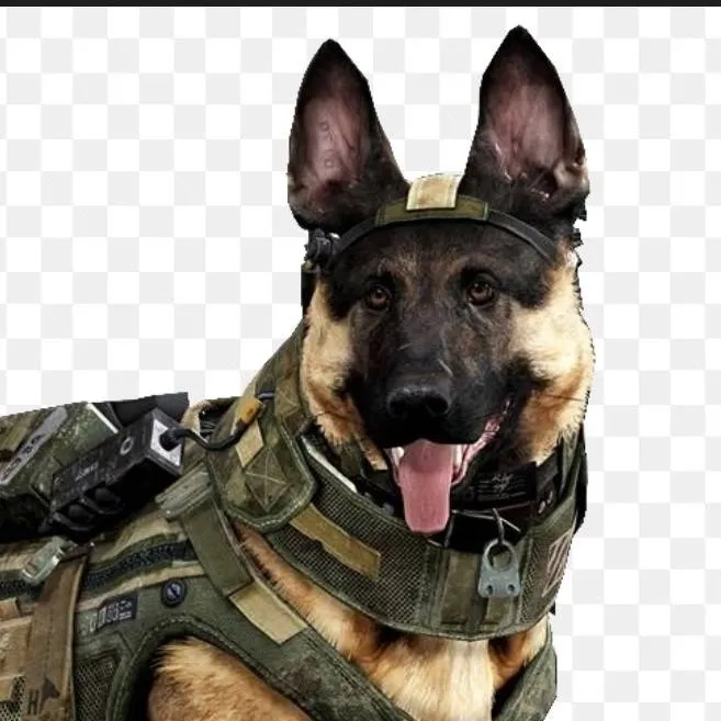 chat with ai character: Riley call of duty