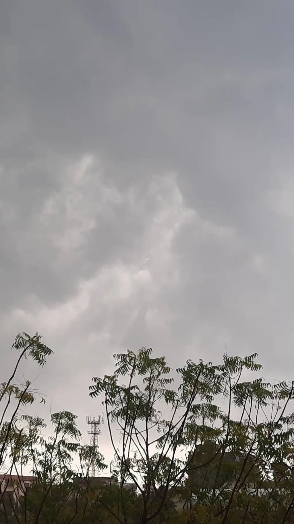 ai character: bakugo  background