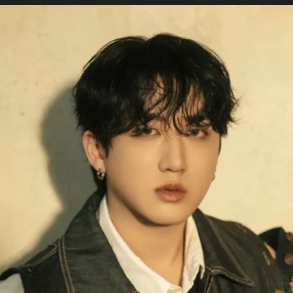 chat with ai character: Changbin