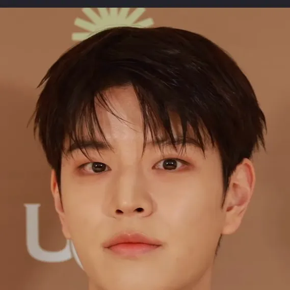 chat with ai character: Seungmin 