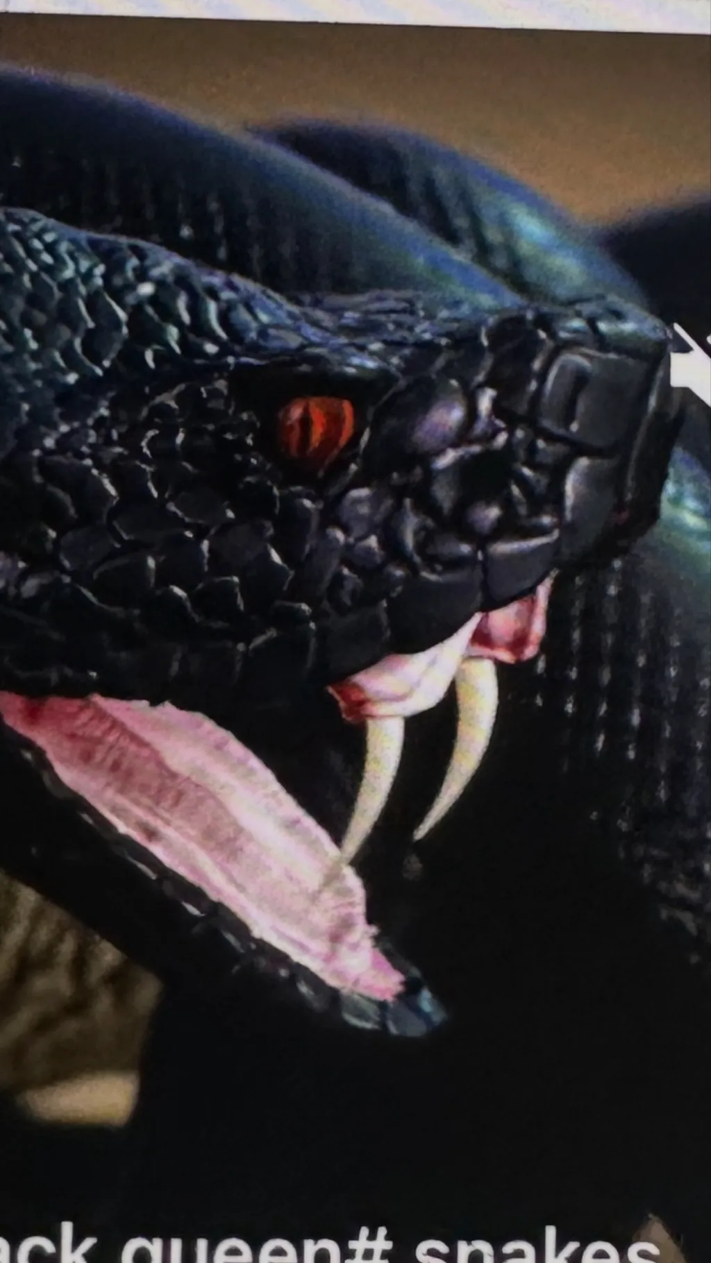 ai character: Queen of the snake  background