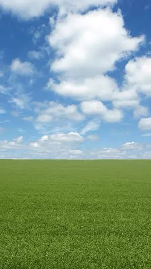 ai character: Hybird anima world background