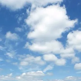 chat with ai character: Hybird anima world