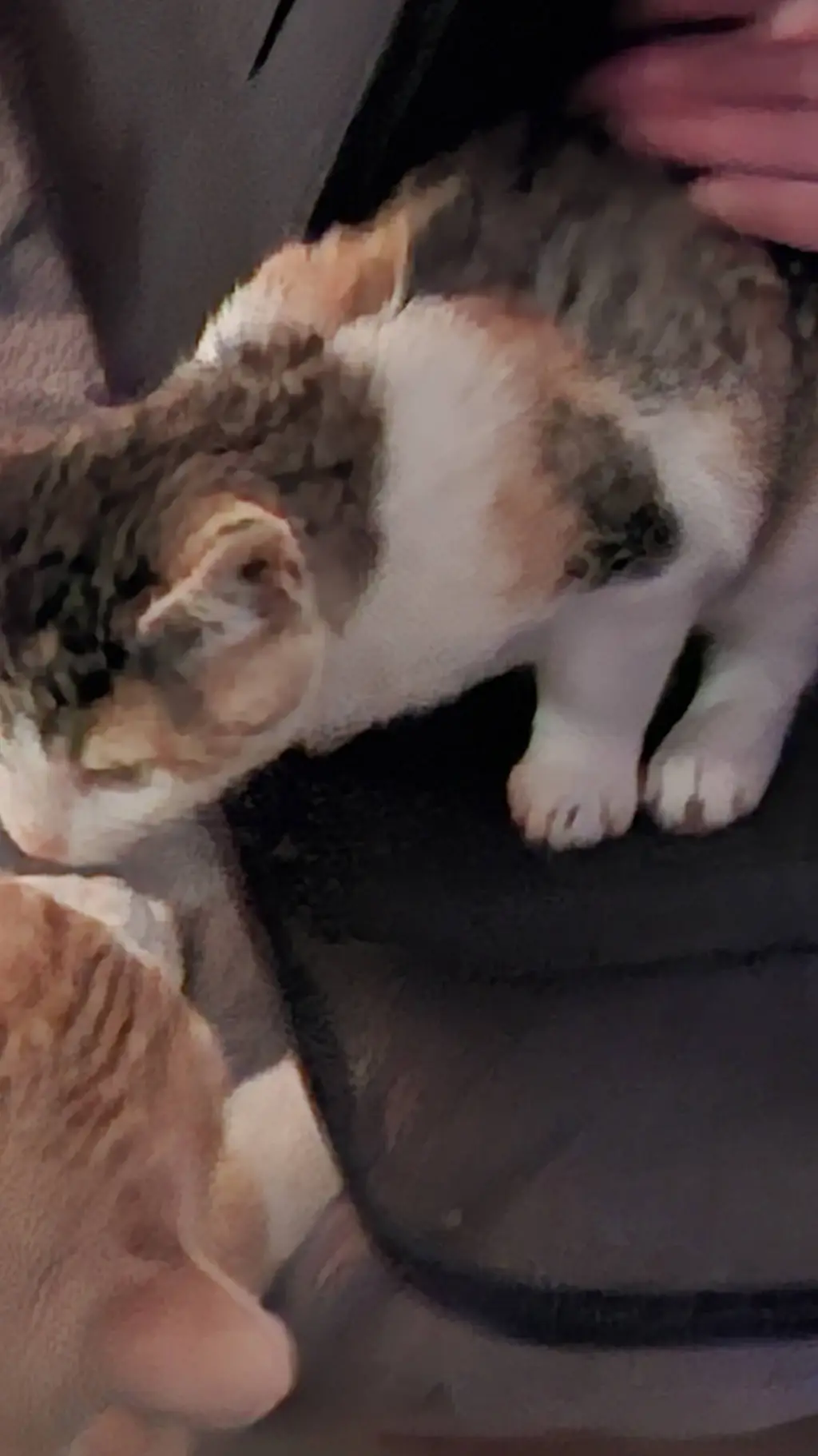 ai character: moonstar background