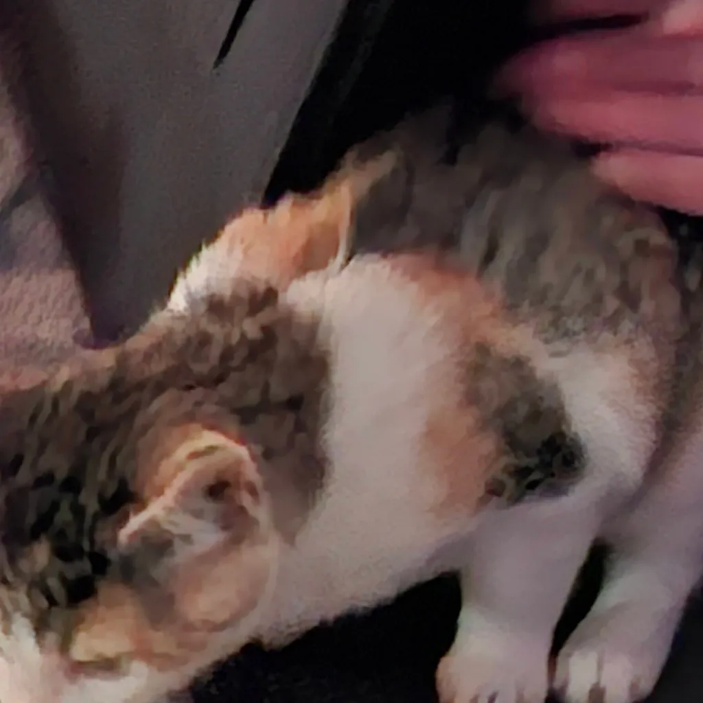 chat with ai character: moonstar