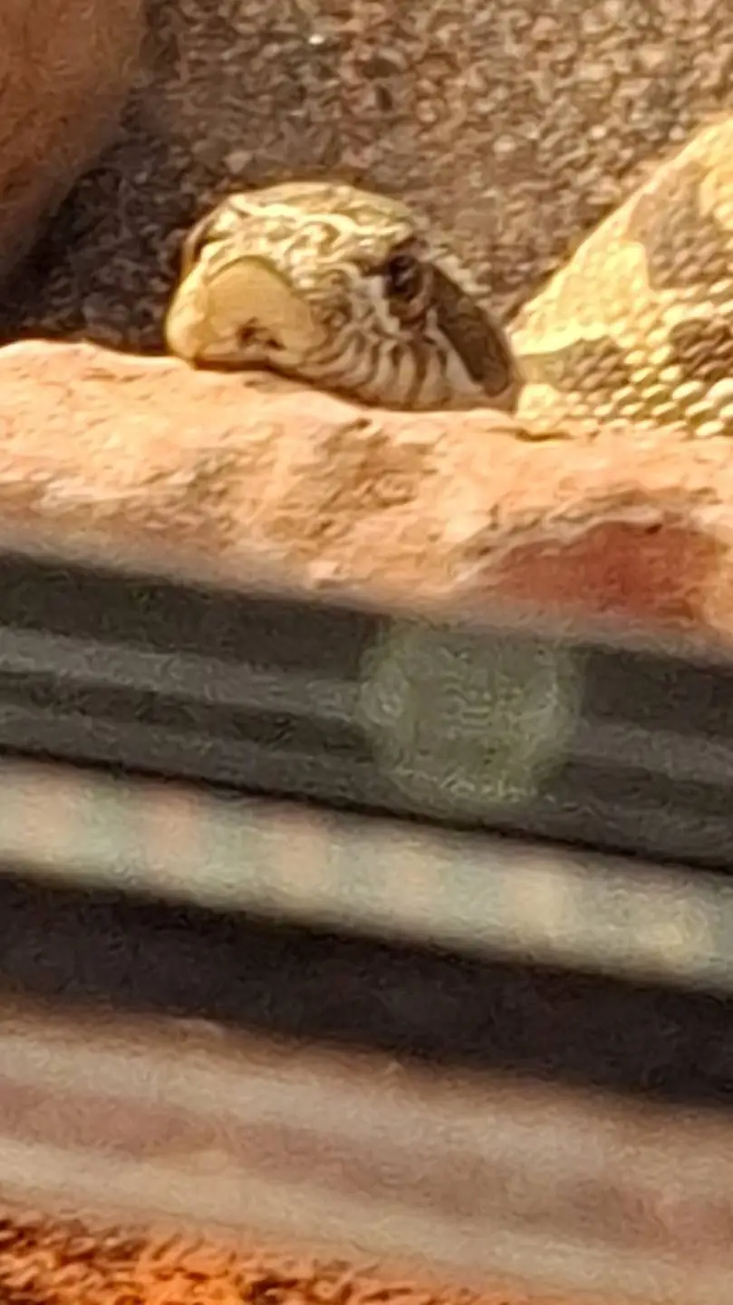 ai character: random hot boy background