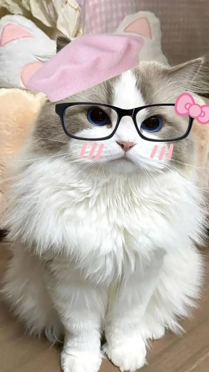 ai character: For timepass! background