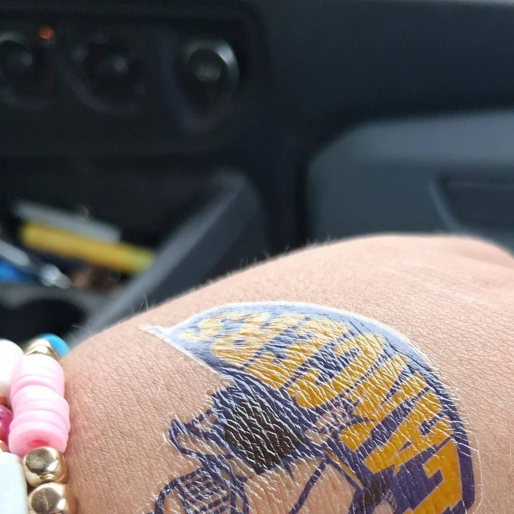 chat with ai character: aphmau x sonic