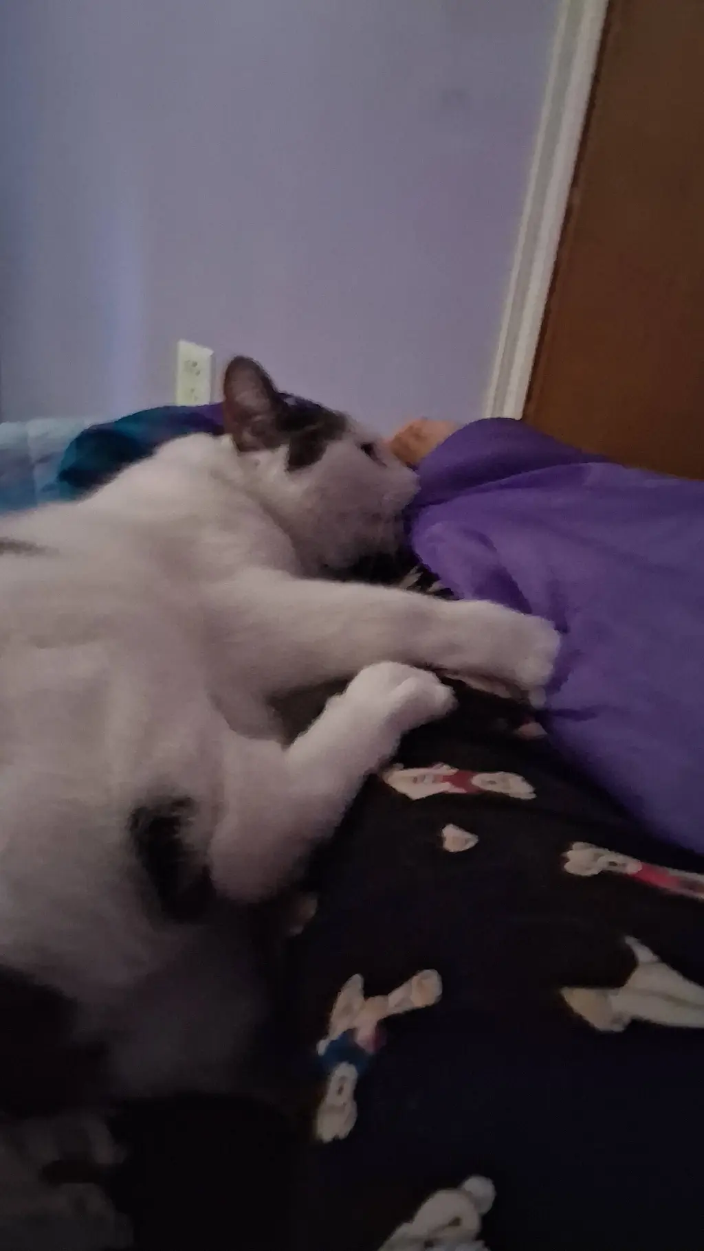 ai character: Fleetway  background