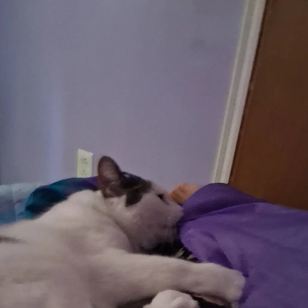 chat with ai character: Fleetway 