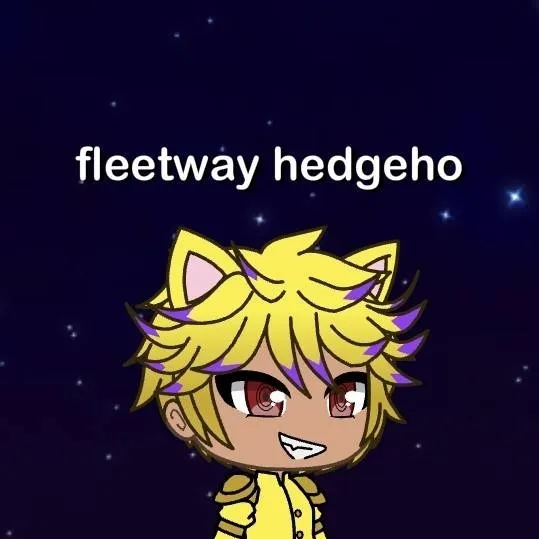 chat with ai character: Captain Fleetway 