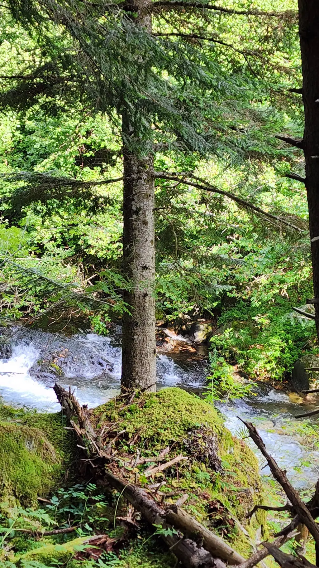 ai character: STRAY KIDS 🫶🏻 background