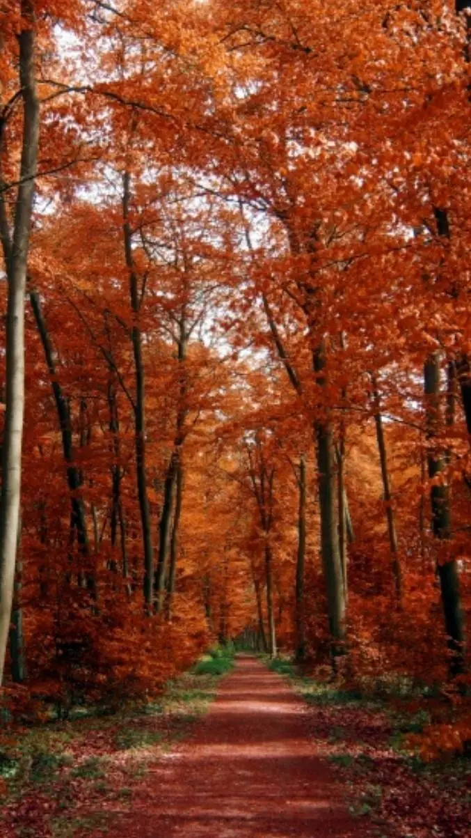 ai character: Mels  background