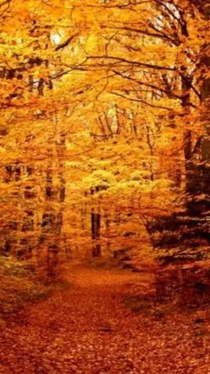 ai character: Mels  background